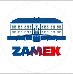 Liceum Profilowane Zespołu Szkół Zawodowych Im. Piastów Opolskich