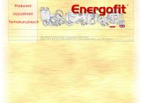 P.p.p.h. Energofit