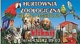 Zoo-Hurt Kielce