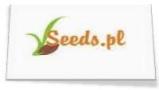 Vseeds Producent Nasion Warzyw Cebuli Vegetable Onion Seeds Breeder Producer Manufacturer Grower