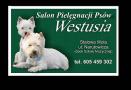Salon Pielęgnacji Psów Westusia