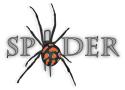 Spider Kamil Kawecki