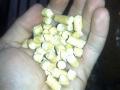 Pellet