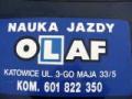 Nauka Jazdy Olaf