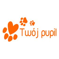 Twój Pupil