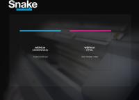 Snake Fabryka Reklamy