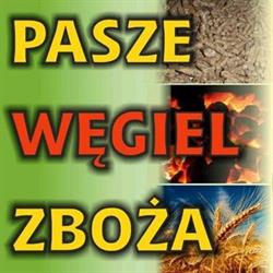 P.h.u. Trans-Pasz Antoni Bereźnicki