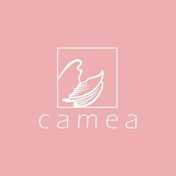 Instytut Camea