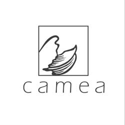 Instytut Camea