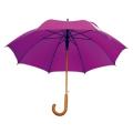 PARASOL