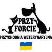Przy Forcie