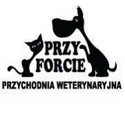 Przy Forcie