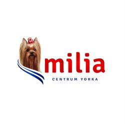 Centrum Yorka "milia" We Wrocławiu