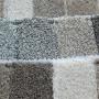 frotte lniana