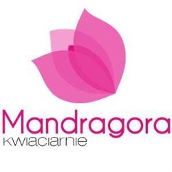 Kwiaciarnia Mandragora