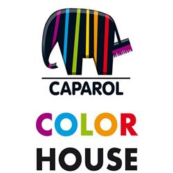 Color House