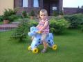 Ride on horse