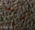 CAS01
