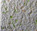 HA01