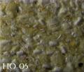HO01