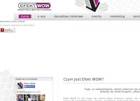 Strona internetowa z Efekt WOW Marketing & Meeting Planners