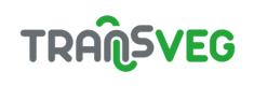 Transveg Sebastian Kabaczuk