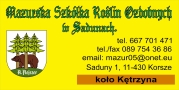 Szkółka Roślin