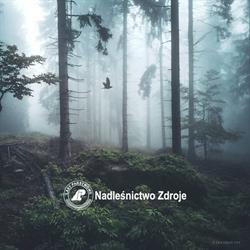 Nadleśnictwo Zdroje