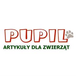 Pupil