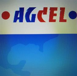 Agcel. Agencja Celna
