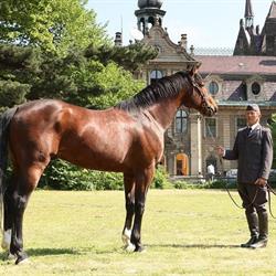Stadnina Koni Moszna Sp. z o.o.