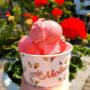 Lody na wynos
