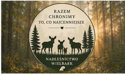 Nadleśnictwo Wielbark