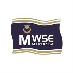 Małopolska Wyższa Szkoła Ekonomiczna w Tarnowie