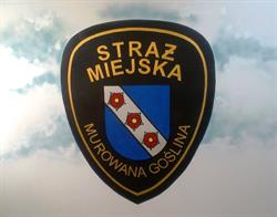 Straż Miejska
