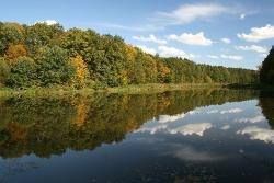 Nadleśnictwo Kańczuga