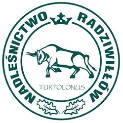 Lasy Państwowe - Nadleśnictwo Radziwiłłów