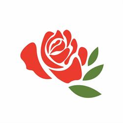Szkółka Krzewów Ozdobnych Tomasz Konior - punkt sprzedaży