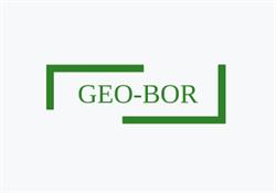 Geo-Bor. Usługi geodezyjne. Borucki R.