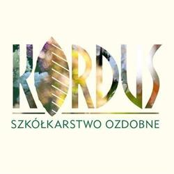 Kordus Andrzej Kordus
