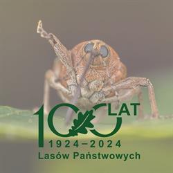 Nadleśnictwo Katowice