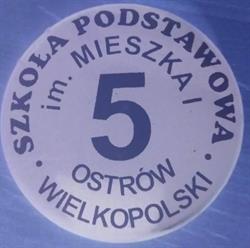 Szkoła Podstawowa Nr 5 Im. Mieszka i