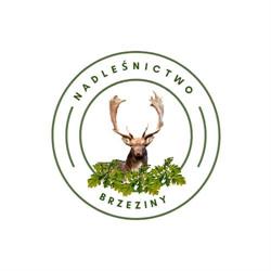 Nadleśnictwo Brzeziny