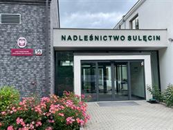 Nadleśnictwo Sulęcin