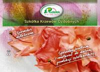 Pudełek Eugeniusz, inż. Szkółka krzewów ozdobnych