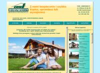Strona internetowa z Biuro Nieruchomości Coni-Borowieccy