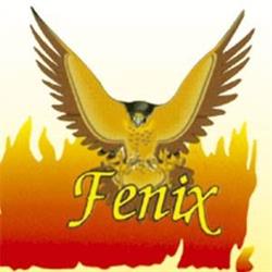 Zakład tapicerski - Wiziecki T. Fenix