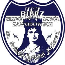 Zespół Szkół Zawodowych
