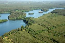 Nadleśnictwo Karwin