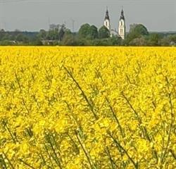 Parafia rzymskokatolicka pw. św. Wawrzyńca diakona męczennika w Borownie